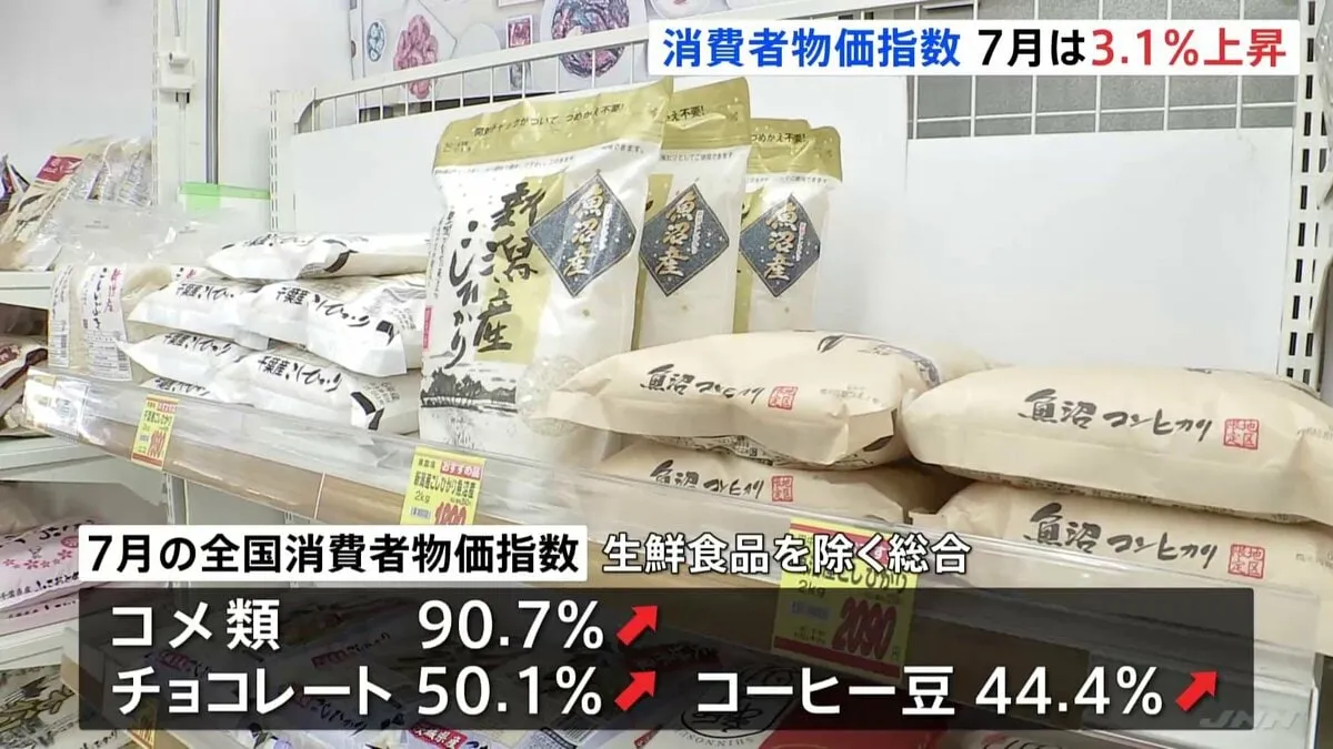 7月の全国消費者物価指数3.1％上昇　8か月連続の3％台の高い伸び率　コメなどの食料品が大幅に上昇
