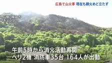 広島・福山市の山火事 鎮火のめど立たず　少なくとも15ヘクタールが焼損