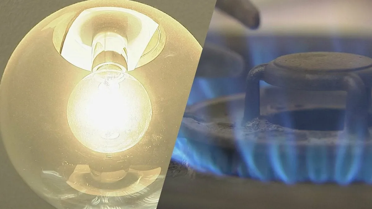来月の電気・都市ガス代は全社値下がり　東電616円↓　東京ガス315円↓　政府の補助金再開で