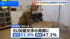 アイスランドがEU加盟交渉再開問う国民投票　反対多数　ロシアのウクライナ侵攻やトランプ米大統領がグリーンランド領有に意欲などで安全保障も議論