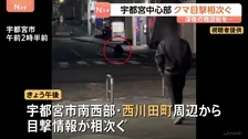 商店街を走り抜けるクマ…宇都宮市中心部で目撃情報相次ぐ「疑ったよ、自分の目を」 部活動の練習試合は全て中止に　現在もクマの行方分からず
