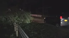 台風13号 沖縄本島地方が暴風域　東村で降水量200ミリ超　本島北部中心に約1万4000戸停電