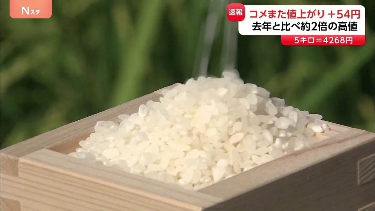 コメまた値上がり＋54円　5キロ4268円　前週値下がりに転じるも1週間で上昇