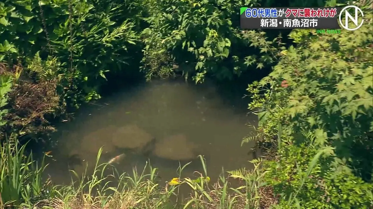 60代男性が散歩中にクマに襲われけが “懐中電灯で抵抗”クマは池に落ちる　新潟・南魚沼市