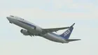 ANA 燃油サーチャージ引き下げ発表　9月の購入分から