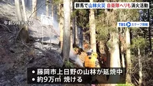 群馬・藤岡市で山林火災 延焼中、自衛隊に災害派遣要請