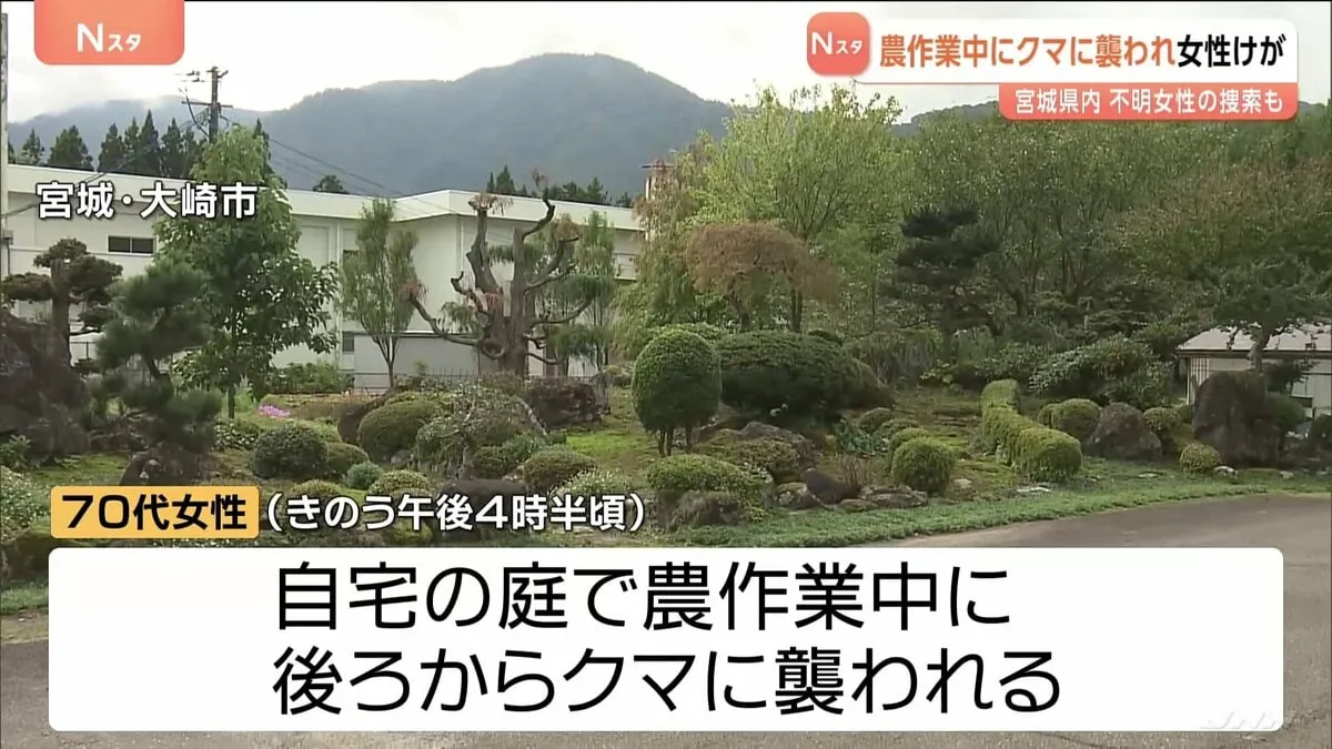 宮城・大崎市で70代女性が自宅の庭で農作業中に後ろからクマに襲われる　顔をひっかかれるも命に別状なし