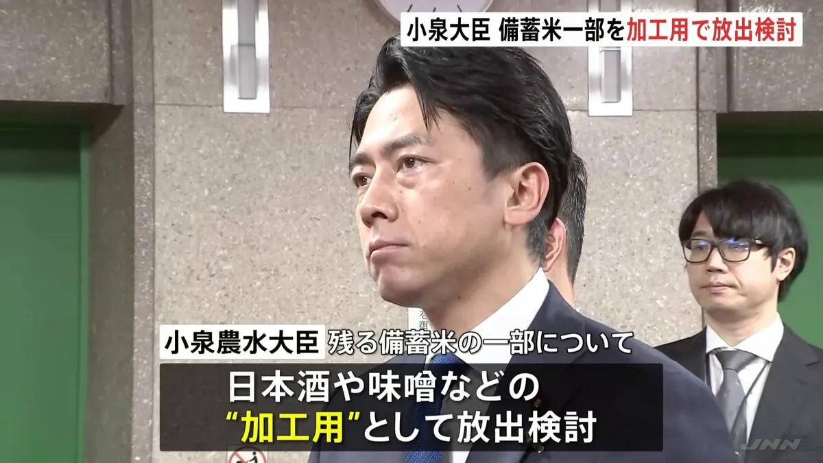 小泉農水大臣　備蓄米の一部を「日本酒や味噌などの“加工用”としての放出検討」と明らかに