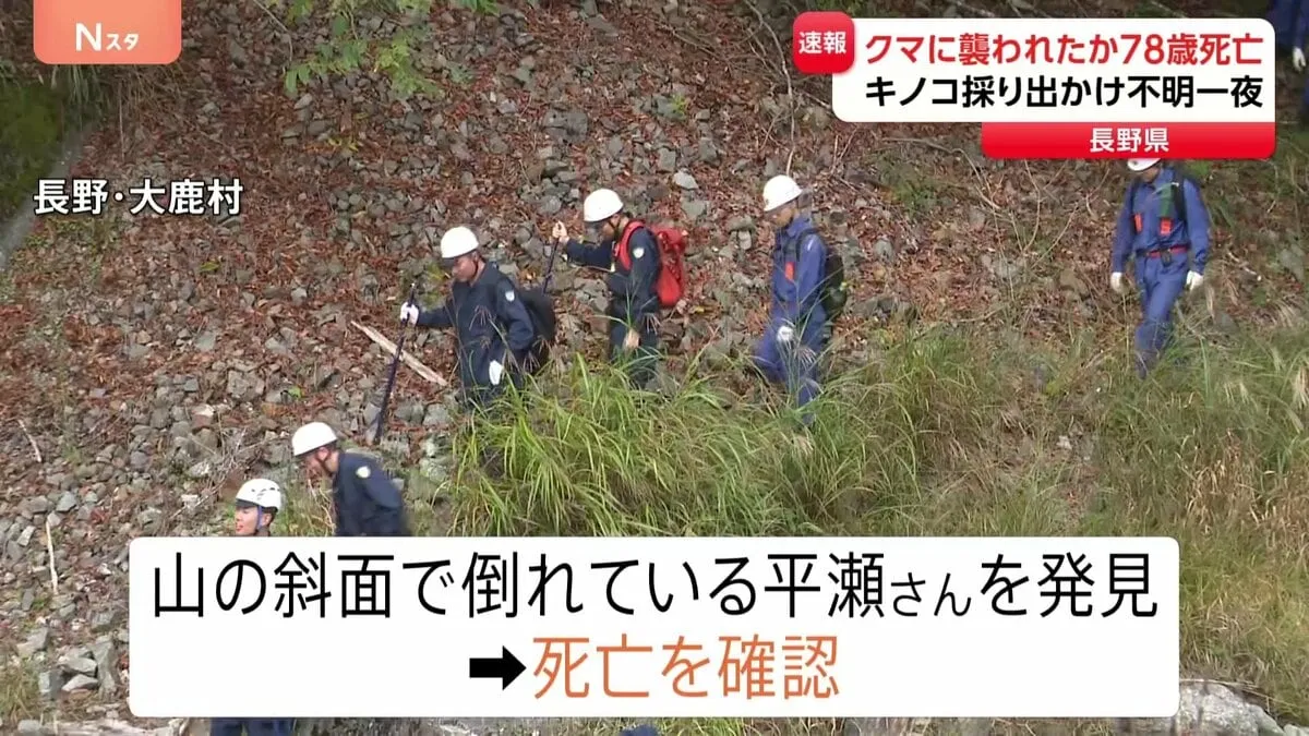 キノコ採りに出かけ行方不明に　クマに襲われたか　男性（78）発見も死亡　長野・大鹿村