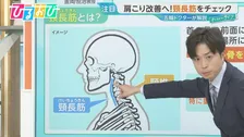 「肩こり」の原因は“首のインナーマッスル”にあり！五輪ドクターが教えるメカニズムと改善法【ひるおび】