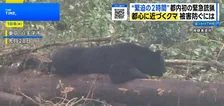 都内初 クマ緊急銃猟の舞台裏 駆除まで2時間　 現場ハンターの“もどかしさ”と都市に迫る危険【THE TIME,】