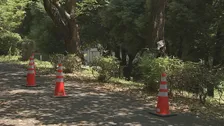 【速報】つくば市の遊歩道で児童ら15人がハチに刺され救急搬送　全員意識あり
