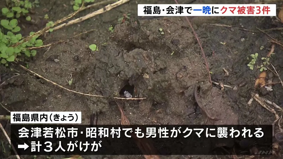 福島・会津で一晩にクマ被害3件発生「顔は血がべったりに…」計3人けが