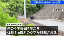 宇都宮市の住宅街でクマ目撃　体長1メートルほど　きょうも警察や猟友会などによる警戒活動