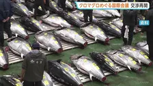 豊漁続くクロマグロ　漁獲枠話し合う国際会議開幕　前回、漁獲量増枠に反対のメキシコ「日本の主張に近い案支持する」実際に合意できるか…