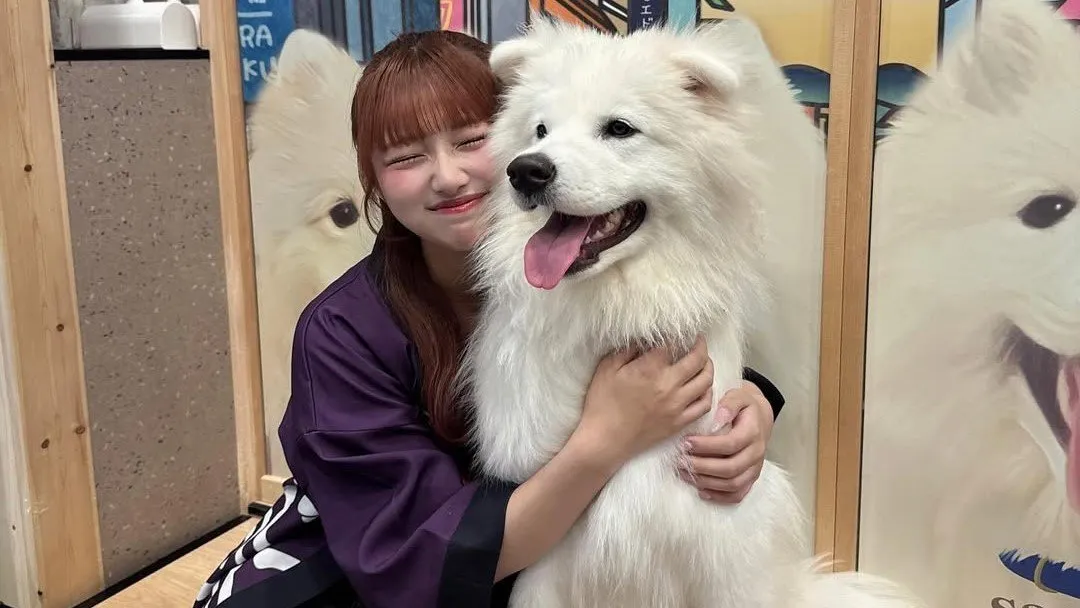 【 辻希美・長女 】希空「（大型犬）サモエドと豚さんのカフェ」「押し倒されちゃった」モフモフの渋滞にご満悦「念願すぎて幸せ」