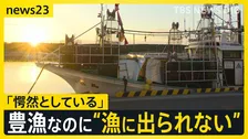「一刻も早く沖に…」スルメイカ漁師から悲鳴　豊漁なのになぜ“休漁”？ 漁獲枠めぐり漁業関係者と水産庁が対立【news23】