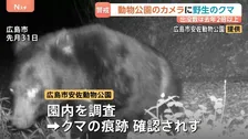 クマの出没件数 去年同月比2倍超！全国で目撃されるクマ！もし襲われたらどうすれば？被害にあった男性から聞く、身を守る術とは？