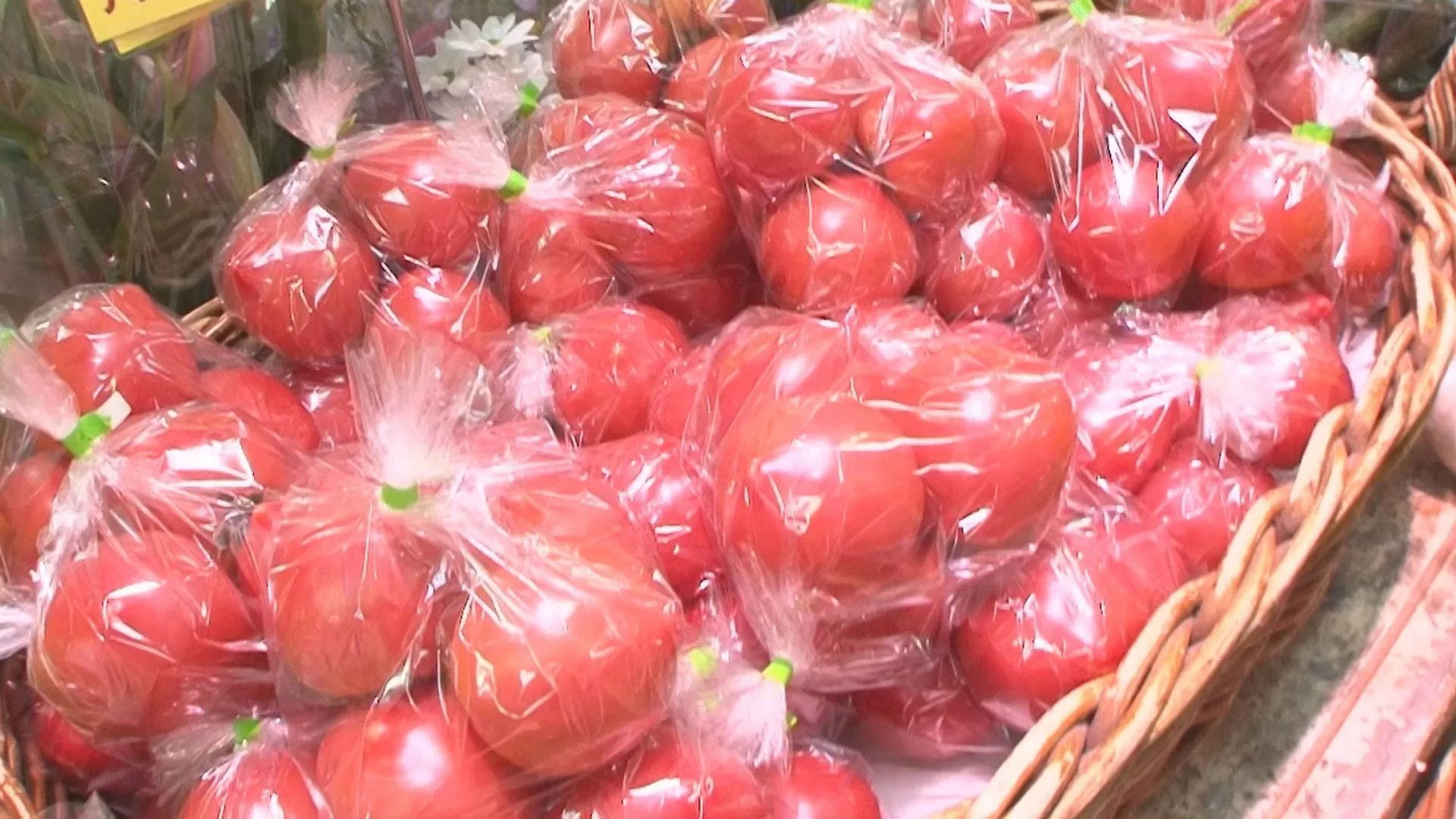 5月の野菜価格見通し 「レタス」「なす」「トマト」など11品目が平年並みの価格で推移 農水省