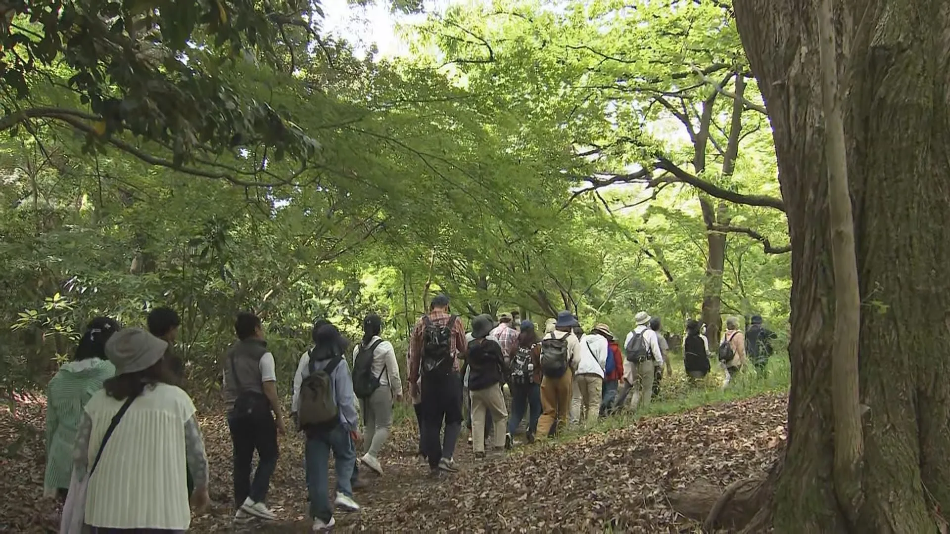 みどりの日　皇居・吹上御苑で「自然観察会」 都心なのにモグラやタヌキも…参加者は貴重な自然を楽しむ