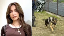 【 工藤静香 】　災害救助犬チームへ「ポータブル電源」を寄付　ライブグッズ売上の一部で支援「しーちゃんらしい社会貢献」「少しでも携われて幸せ」