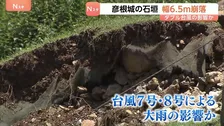 彦根城の石垣の一部崩落　台風7号・8号による大雨の影響か「米蔵水門石垣」と呼ばれる部分 幅6.5メートル高さ2.5メートルにわたって崩れる　滋賀・彦根市