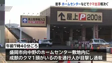 ホームセンターに成獣のクマ 吹き矢を使った麻酔で捕獲される　岩手できょうも出没相次ぐ