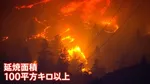 カナダ西部で相次ぐ山火事　半分近くが「制御不能な状態」で非常事態宣言発令　トランプ大統領「アメリカに有害な空気が流入」