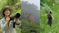 【 磯野貴理子 】　北海道・知床を訪問　豊かな自然で出会ったエゾシカや珍しい「十字ギツネ」などの貴重な姿を公開