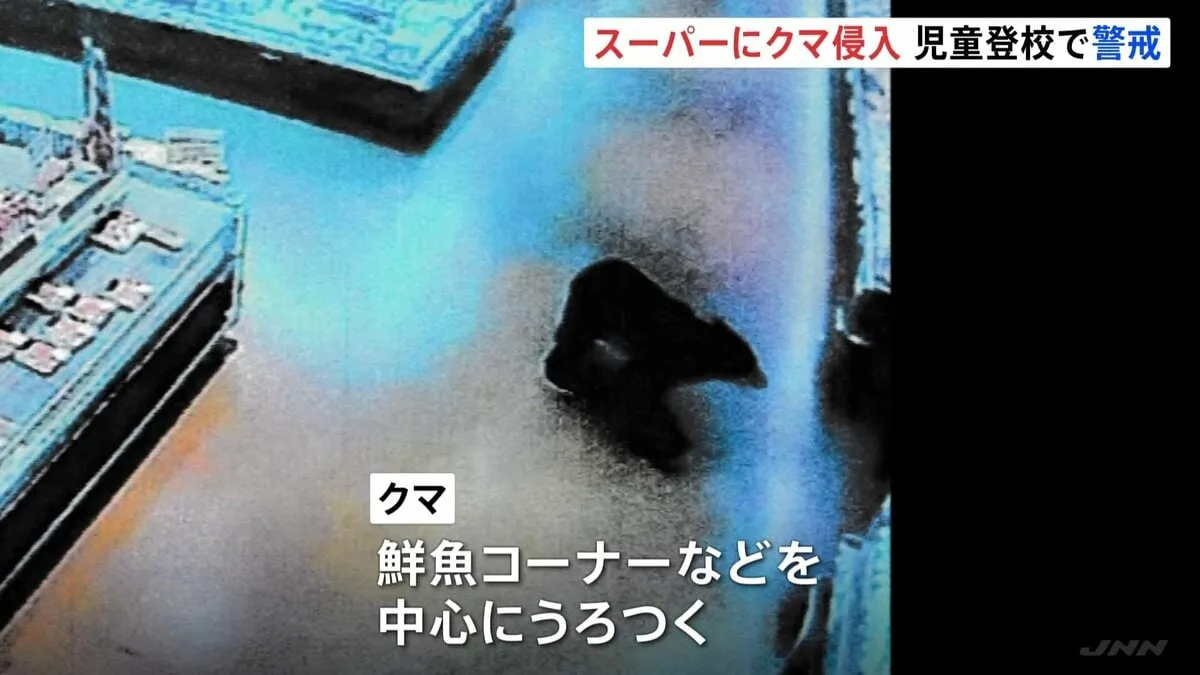 スーパーに体長約1.4メートルのクマ侵入　客の男性2人襲われ軽傷　警察官が児童登校を見守るなど警戒続く　群馬・沼田市