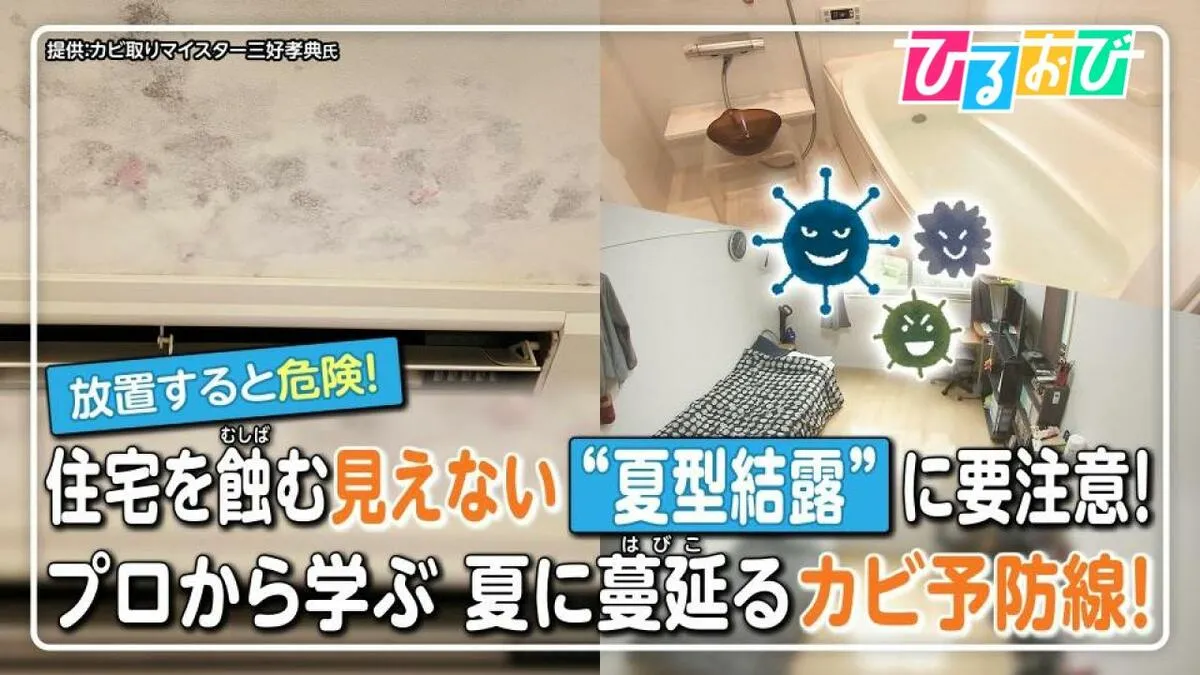 夏も危険な「カビ」見えない“夏型結露”に要注意！壁の中のカビを見抜くサインは？プロに聞きたいカビの疑問【ひるおび】