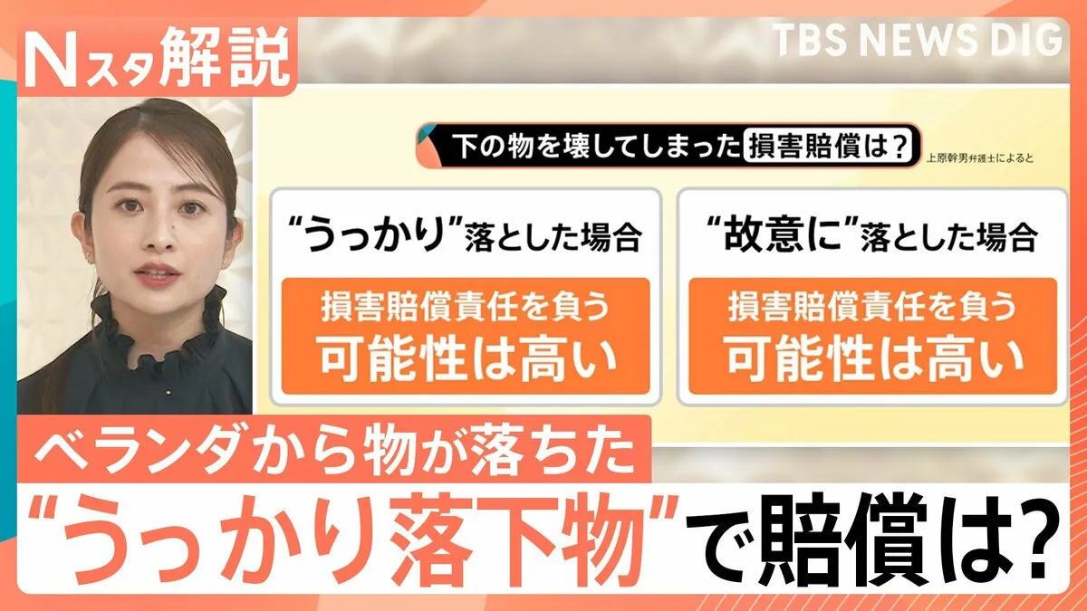 「ナイフが落ちてきた」マンションから包丁落下か　ベランダからの“うっかり落下物”は罪に問われる？【Nスタ解説】