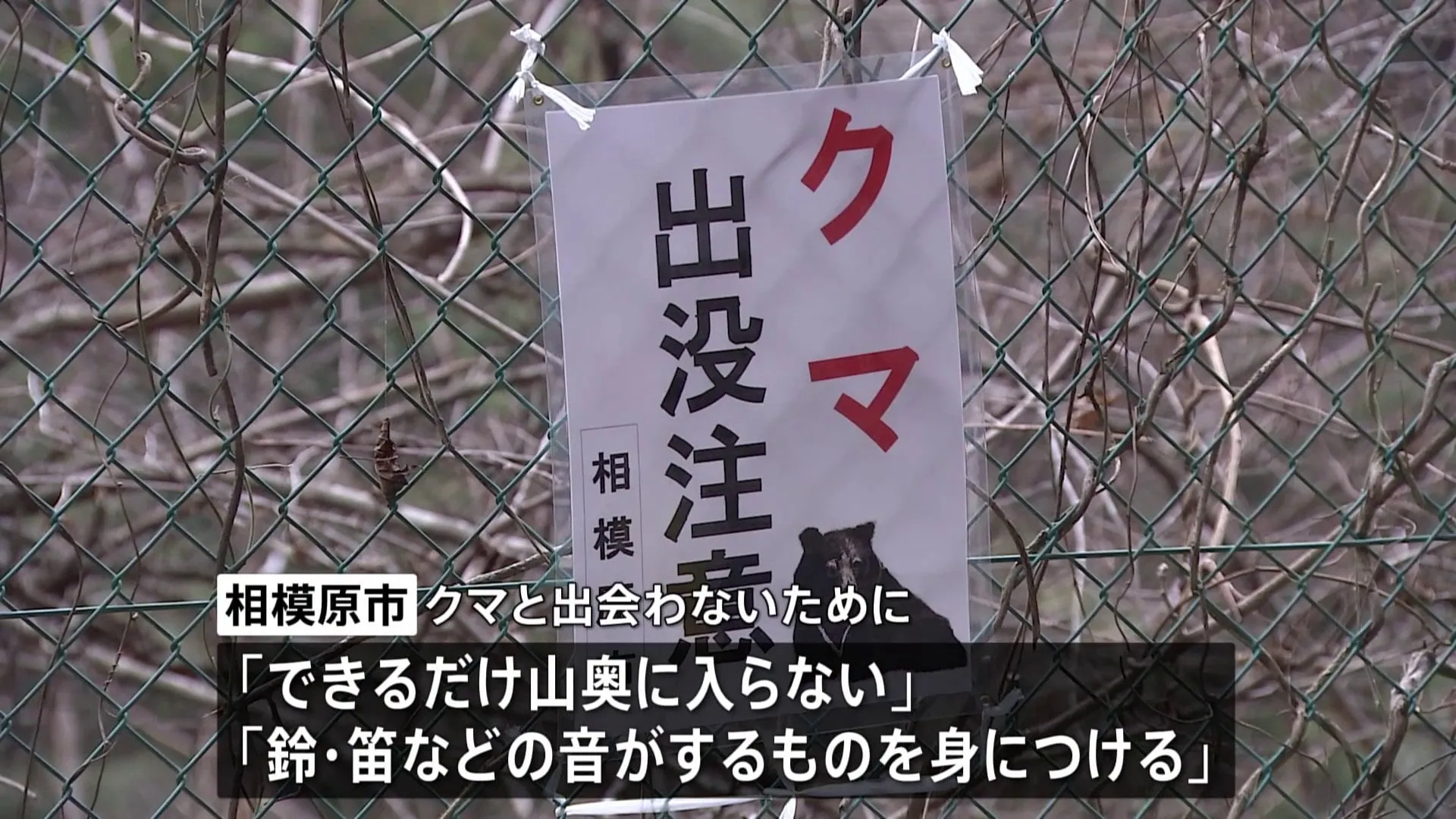 60代女性がツキノワグマとみられるクマにかまれ左手の親指に軽傷、相模原市はクマに出会わないよう注意呼びかけ