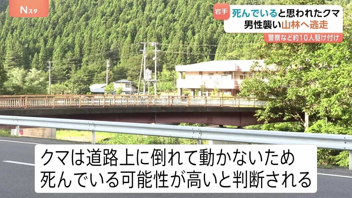 「死んでいる可能性が高い」と判断されたクマに噛まれ70代男性けが　警察や市職員も集まり道路に倒れたクマの排除中