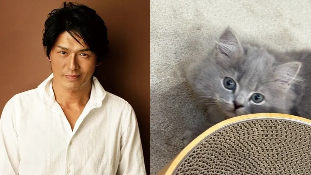 【 ねこ 】高橋克典さん　愛猫「ミルリィ」連投も「ガン無視」「触らせてくれない」　「接しないとダメなのかな」と問いかける