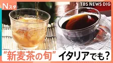 “新麦茶”の季節！麦茶工場では大麦焙煎・麦農家は収穫前の最後のチェックに大忙し 「幻の麦茶」「イタリアの麦茶」も