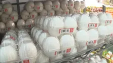 年内のたまご価格は高水準が続く見込み　生産量は去年と同程度