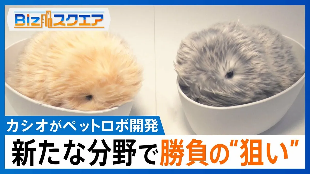 鳴いて動いて「人になつく」…カシオ「5万円台のAIペットロボ」開発の狙いとは？【Bizスクエア】