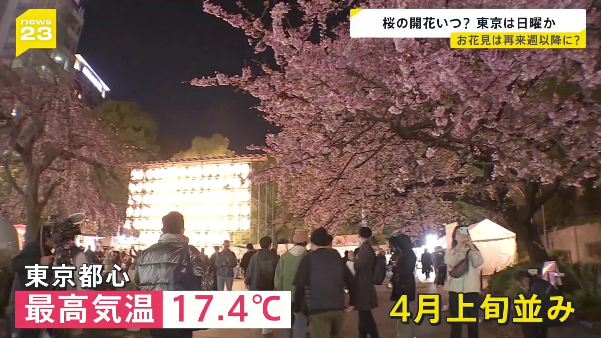 気温上昇　夜桜に「生ビール一択」 東京は4月上旬並みの暖かさ　東京は日曜にも桜開花か　気象予報士 森田さん解説【news23】