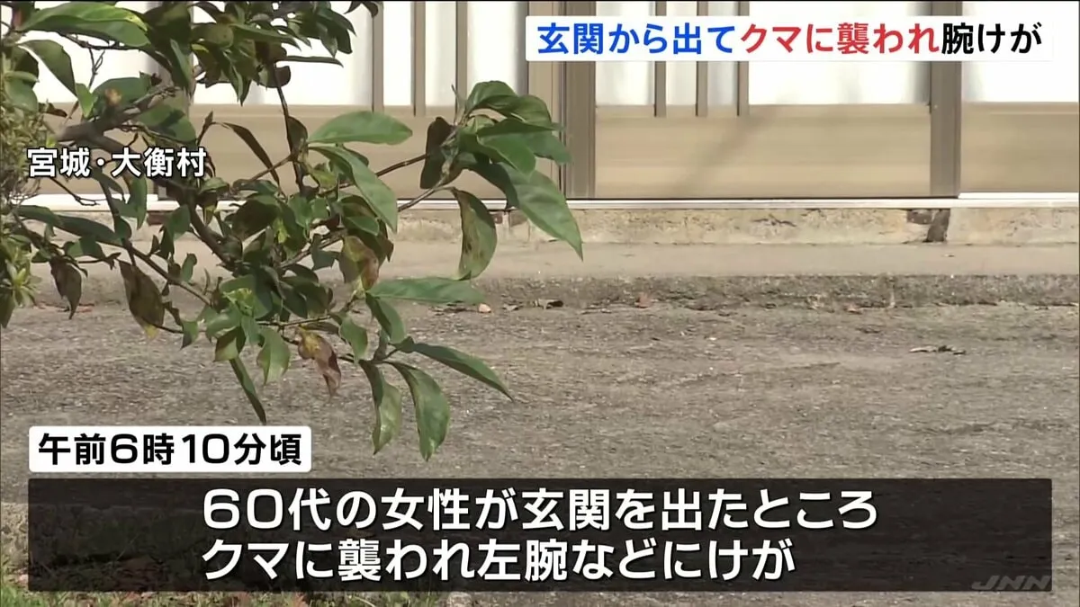 玄関から出てクマに襲われ腕にけが 60代女性命に別状無し 警察パトロールなど警戒続ける 宮城・大衡村