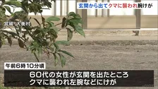 玄関から出てクマに襲われ腕にけが 60代女性命に別状無し 警察パトロールなど警戒続ける 宮城・大衡村