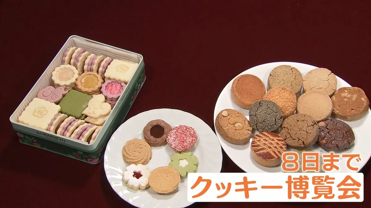 「見るだけでワクワク」香り・食感が絶品の“焼きたて”クッキーに大行列！横浜に56ブランド集結した『クッキー博覧会』
