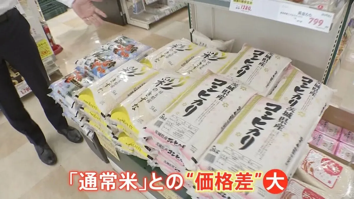 小泉大臣「コメ流通はブラックボックス」 卸売業者は「真実を別の方向に向かせている」…備蓄米放出で価格どうなる