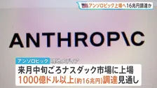 米アンソロピックが上場へ 約16兆円の資金調達で“史上最大”IPOとなる可能性も　マイクロソフトは約6万人希望退職でAI投資強化