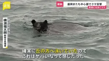 漁師が見た“海を泳ぐクマ” 今週も各地で相次いだクマ出没…政府は人の生活圏からの排除に向け「クマ被害対策パッケージ」取りまとめ【news23】