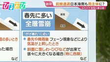 寒暖差の激しい冬 なだれや落雪に注意　春先に多い「全層雪崩」の危険も【ひるおび】