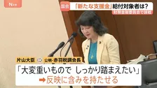 “所得に応じた支援金”「年収53万円から」公明・赤羽氏が求める　片山さつき財務大臣「しっかり踏まえたい」と反映に含み　衆院・財務金融委員会で論戦続く