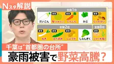 千葉豪雨で“首都圏の台所”が悲鳴　コメに泥のニオイ、種40万粒まき直し…秋冬に野菜高騰の恐れ【Nスタ解説】