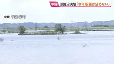 収穫用の機材やトラック水没…コメ農家「3000万円超の被害」千葉・印旛沼の決壊で冠水続く