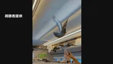 きょう8月10日は「鳩の日」　東北新幹線の車内にハトが迷い込む　ハトも帰省？